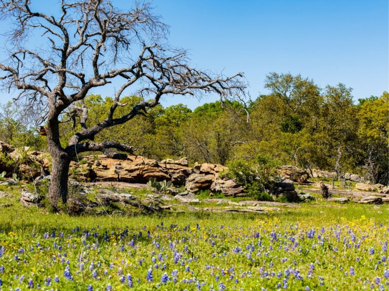 Texas Hill Country (naturaleza asombrosa)